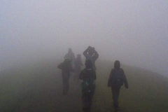 Photo-0215
