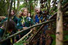 female-leader-with-cubs-in-wood-2022-jpg